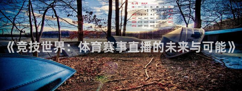 劲爆体育频道直播：《竞技世界：体育赛事直播的未来与可能》