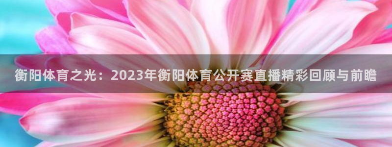 劲爆体育直播高清：衡阳体育之光：2023年衡阳体育公开赛直播精彩回顾与前瞻