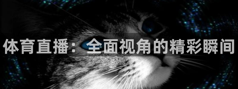 劲爆体育直播免费观看直播间：体育直播：全面视角的精彩瞬间