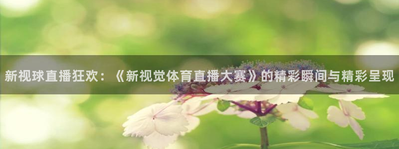 劲爆体育直播在线观看高清：新视球直播狂欢：《新视觉体育直播大赛》的精彩瞬间与精彩呈现