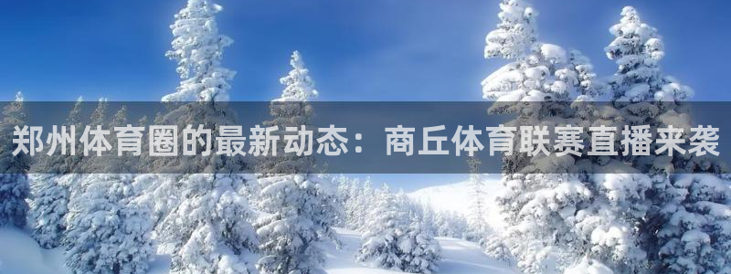 劲爆体育免费直播nba新的好游戏.认证网.org：郑州体育圈的最新动态：商丘体育联赛直播来袭