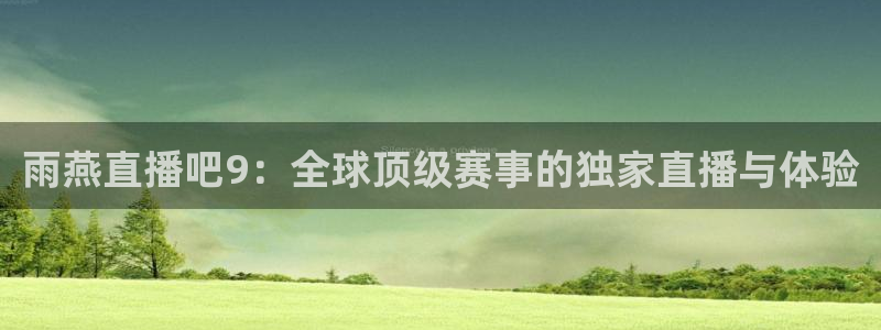 上海劲爆体育频道直播：雨燕直播吧9：全球顶级赛事的独家直播与体验