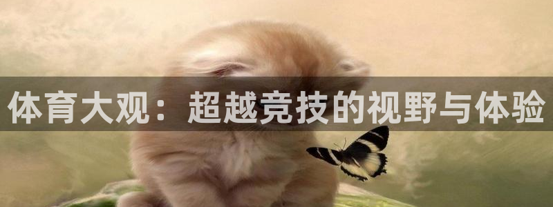 劲爆体育nba直播在线观看免费：体育大观：超越竞技的视野与体验