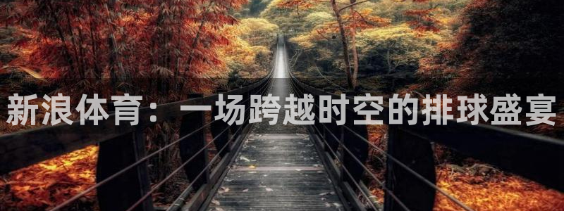 劲爆体育直播免费观看直播间：新浪体育：一场跨越时空的排球盛宴
