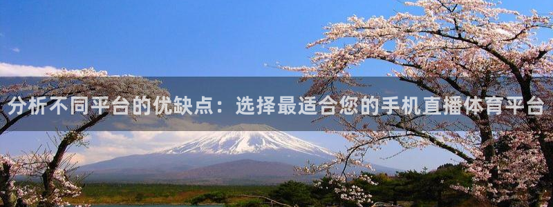 劲爆体育直播免费观看：分析不同平台的优缺点：选择最适合您的手机直播体育平台