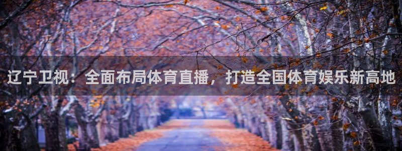 劲爆体育在线直播观看nba：辽宁卫视：全面布局体育直播，打造全国体育娱乐新高地