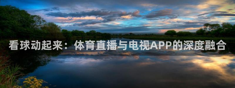 劲爆nba免费直播在线直播观看：看球动起来：体育直播与电视APP的深度融合