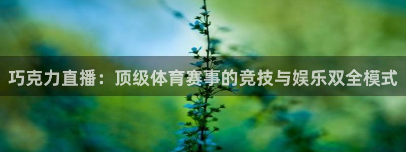 劲爆体育nba直播：巧克力直播：顶级体育赛事的竞技与娱乐双全模式