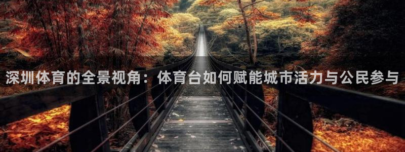 劲爆体育nba在线直播观看：深圳体育的全景视角：体育台如何赋能城市活力与公民参与